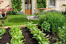 Le Potager sur�lev� Jarditec
