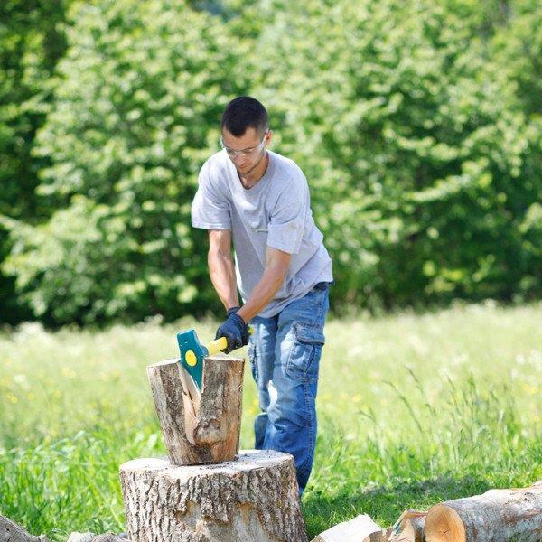 Merlin �clateur - bois 2.5 kg